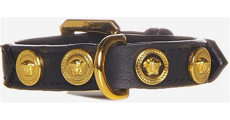 Shop Versace Medusa Dog Collar 